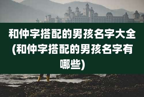 和仲字搭配的男孩名字大全(和仲字搭配的男孩名字有哪些)