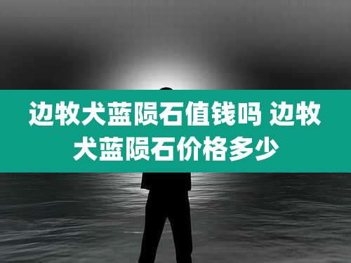 边牧犬蓝陨石值钱吗 边牧犬蓝陨石价格多少