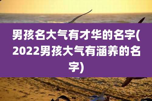 男孩名大气有才华的名字(2022男孩大气有涵养的名字)