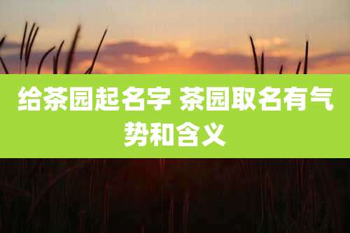 给茶园起名字 茶园取名有气势和含义