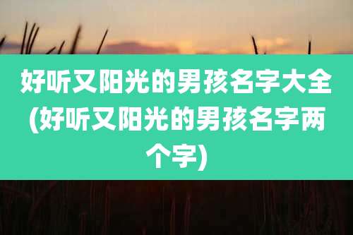 好听又阳光的男孩名字大全(好听又阳光的男孩名字两个字)