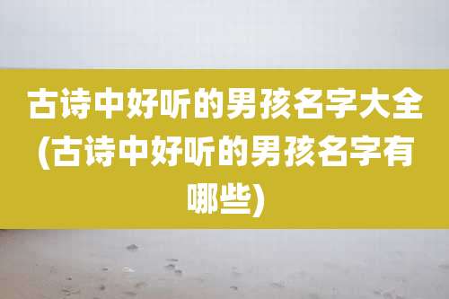古诗中好听的男孩名字大全(古诗中好听的男孩名字有哪些)