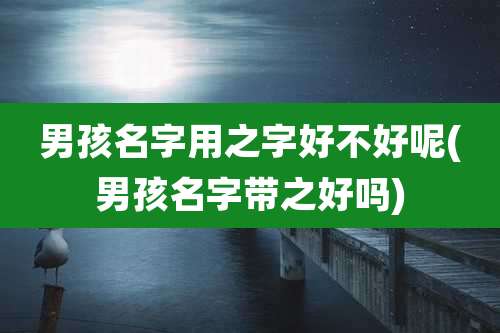 男孩名字用之字好不好呢(男孩名字带之好吗)