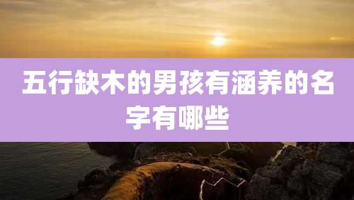 五行缺木的男孩有涵养的名字有哪些