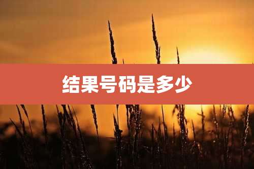 结果号码是多少
