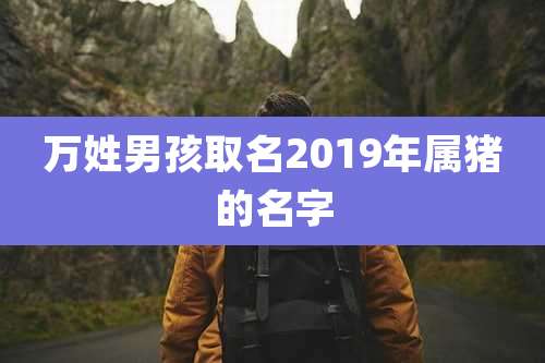 万姓男孩取名2019年属猪的名字