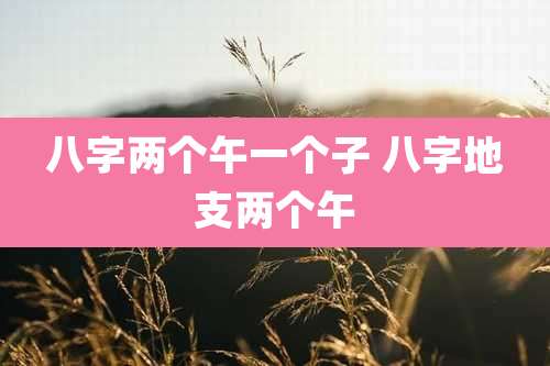 八字两个午一个子 八字地支两个午