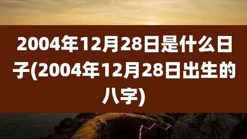 2004年12月28日是什么日子(2004年12月28日出生的八字)