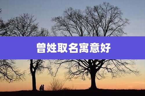曾姓取名寓意好