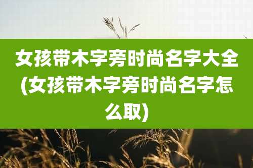 女孩带木字旁时尚名字大全(女孩带木字旁时尚名字怎么取)