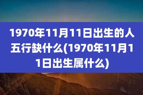 1970年11月11日出生的人五行缺什么(1970年11月11日出生属什么)