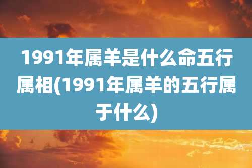1991年属羊是什么命五行属相(1991年属羊的五行属于什么)