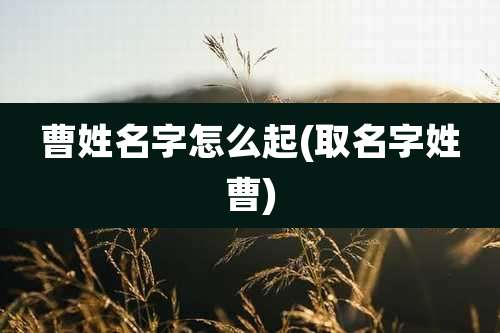 曹姓名字怎么起(取名字姓曹)