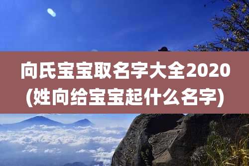 向氏宝宝取名字大全2020(姓向给宝宝起什么名字)