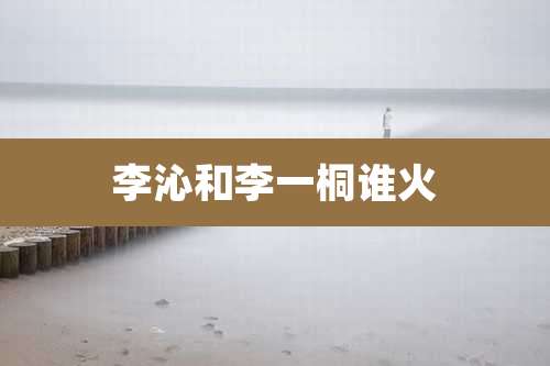 李沁和李一桐谁火