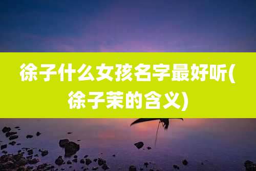 徐子什么女孩名字最好听(徐子茉的含义)