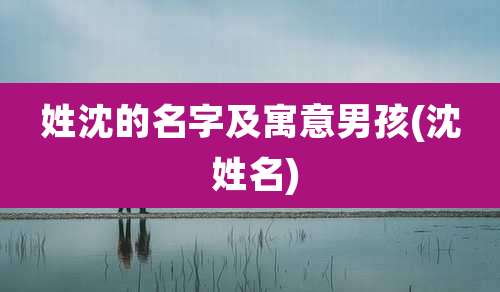 姓沈的名字及寓意男孩(沈 姓名)