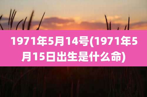 1971年5月14号(1971年5月15日出生是什么命)