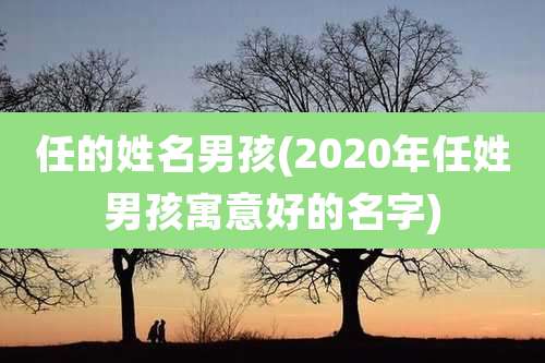 任的姓名男孩(2020年任姓男孩寓意好的名字)