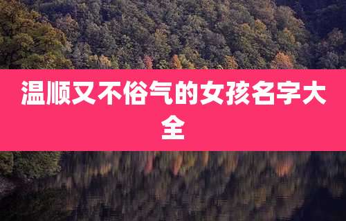 温顺又不俗气的女孩名字大全