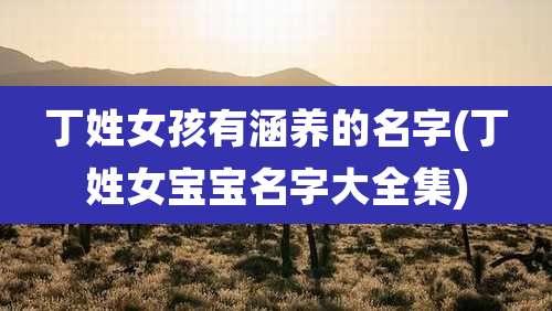 丁姓女孩有涵养的名字(丁姓女宝宝名字大全集)