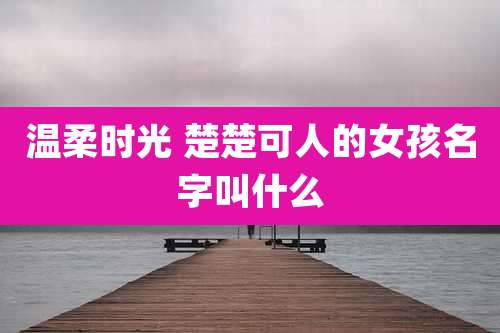 温柔时光 楚楚可人的女孩名字叫什么