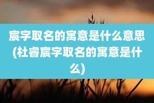 宸字取名的寓意是什么意思(杜睿宸字取名的寓意是什么)
