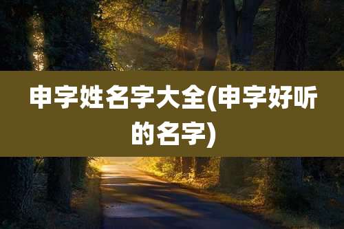 申字姓名字大全(申字好听的名字)