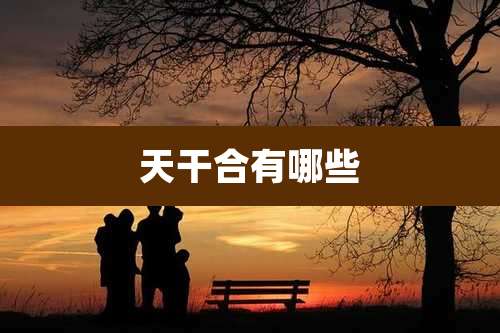 天干合有哪些