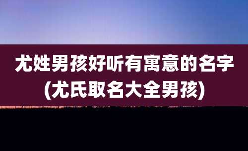 尤姓男孩好听有寓意的名字(尤氏取名大全男孩)