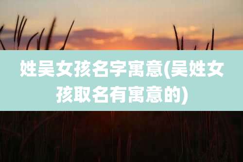 姓吴女孩名字寓意(吴姓女孩取名有寓意的)