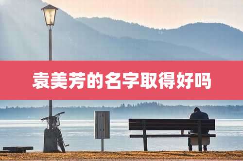 袁美芳的名字取得好吗