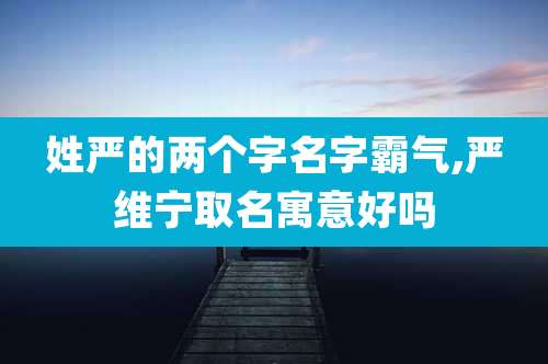 姓严的两个字名字霸气,严维宁取名寓意好吗