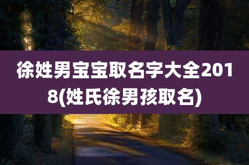 徐姓男宝宝取名字大全2018(姓氏徐男孩取名)