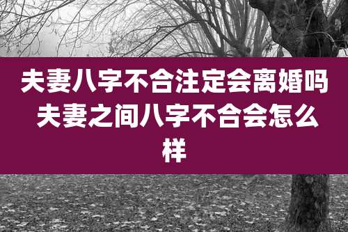 夫妻八字不合注定会离婚吗 夫妻之间八字不合会怎么样
