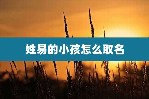 姓易的小孩怎么取名