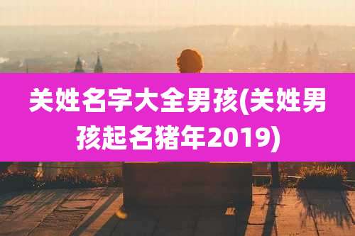 关姓名字大全男孩(关姓男孩起名猪年2019)
