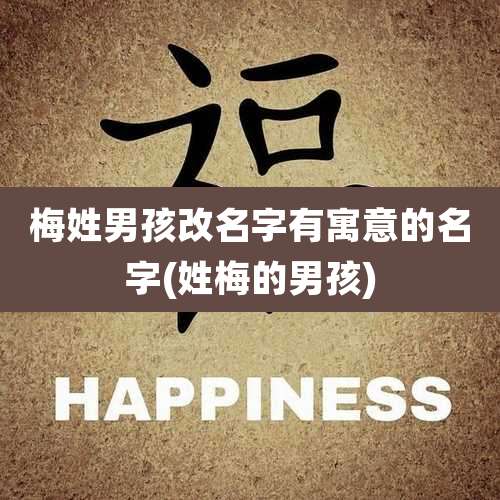 梅姓男孩改名字有寓意的名字(姓梅的男孩)