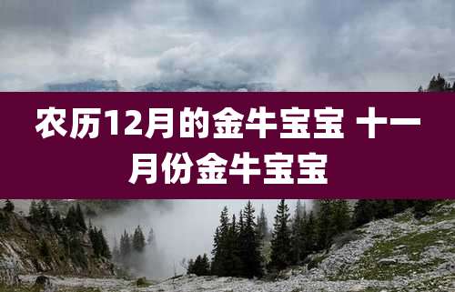 农历12月的金牛宝宝 十一月份金牛宝宝