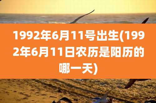 1992年6月11号出生(1992年6月11日农历是阳历的哪一天)
