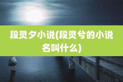 段灵夕小说(段灵兮的小说名叫什么)