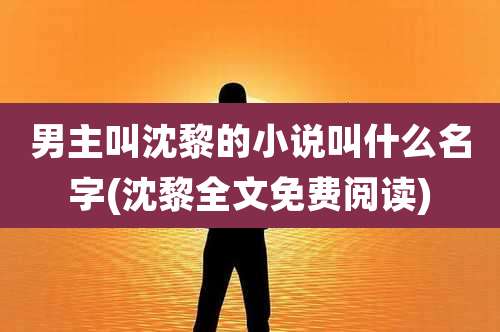 男主叫沈黎的小说叫什么名字(沈黎全文免费阅读)