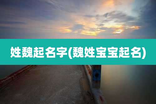 姓魏起名字(魏姓宝宝起名)