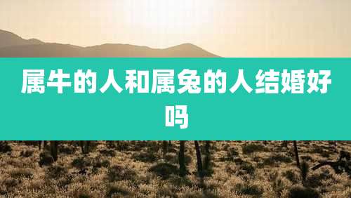 属牛的人和属兔的人结婚好吗