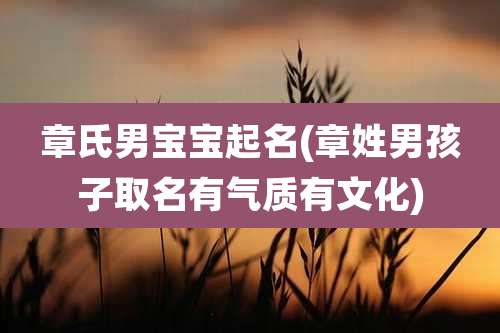 章氏男宝宝起名(章姓男孩子取名有气质有文化)