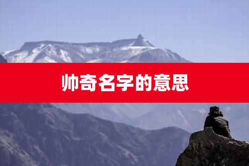 帅奇名字的意思