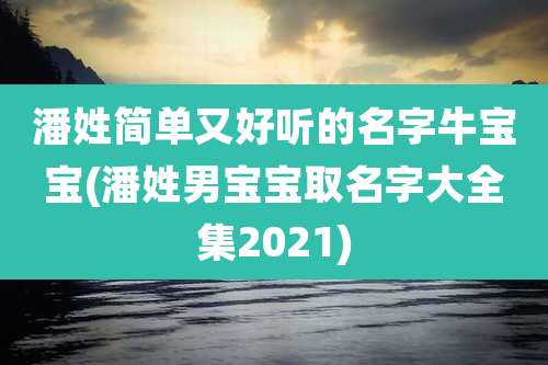 潘姓简单又好听的名字牛宝宝(潘姓男宝宝取名字大全集2021)