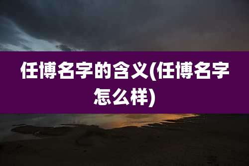 任博名字的含义(任博名字怎么样)