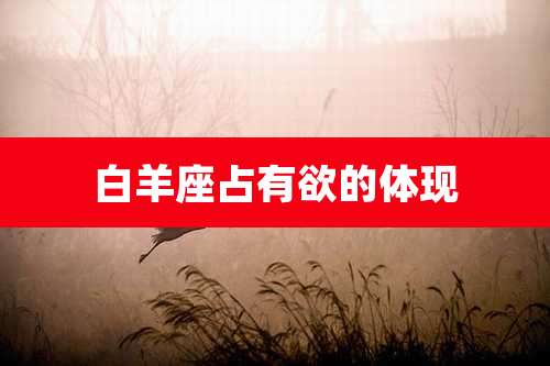 白羊座占有欲的体现