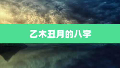 乙木丑月的八字